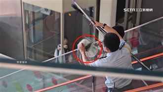 獨／百貨公司有鳥飛！3名保全化身捕鳥隊