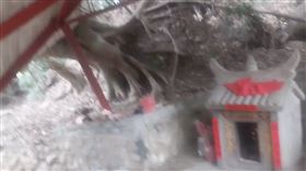 苗栗百年榕樹倒塌砸毀廟宇　土地公顯神蹟