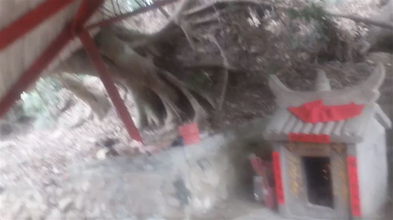 苗栗百年榕樹倒塌砸毀廟宇　土地公顯神蹟