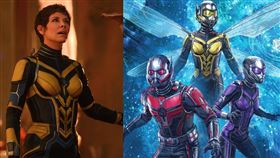 「黃蜂女」伊凡潔琳莉莉。