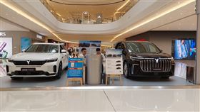 中國產能過剩引發關注 汽車業被點名中國汽車出口量在2023年首次躍居全球第一，尤以新能源汽車的迅速發展和低價讓外國感受到威脅，歐洲即發起有關補貼情況的調查，美國財長葉倫4月訪中也點名關注中國電動車行業。圖為上海萬象城內展示多品牌的電動車，是現今中國大型商場常見的景象。中央社記者張淑伶上海攝  113年4月7日