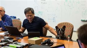 黃仁勳帶著自己的狗狗Ninja一起上班。（圖／翻攝自IG＠ninjeeee）