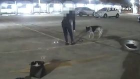 L餵狗遭痛毆1800