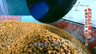 被「色」計！玉米雞黃、鮭魚肉橘飼料染的