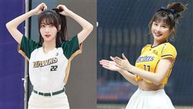 一粒（左）被拿來與峮峮（右）做比較。（圖／翻攝自IG）