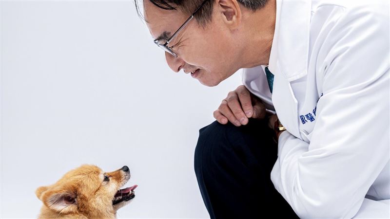 毛孩老化先看這部位！獸醫曝8招保牠健康
