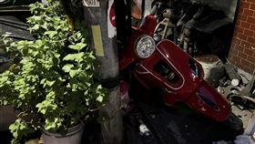 招牌,盆栽,店家,騎士,高雄