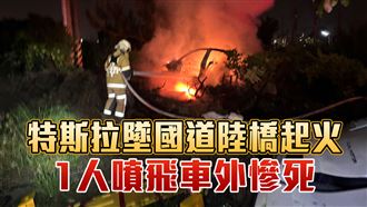 特斯拉墜橋「斷兩截」起火　乘客拋飛慘亡