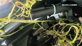 機車龍頭「長出藤蔓」！修車行老闆：在開玩笑