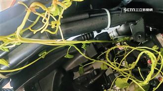 機車龍頭長出藤蔓！修車行老闆：在開玩笑