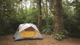 露營，帳篷，戶外，森林，大自然（示意圖／翻攝自unsplash）