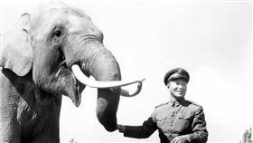 孫立人將軍與大象林旺在陸軍官校。民國39年（羅超群攝影，羅廣仁提供）