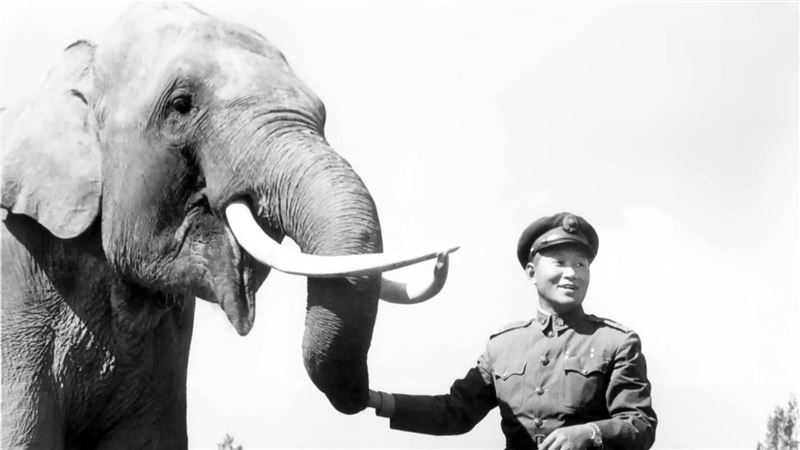 林旺曾是日軍「戰象」！在台第一個家曝光
