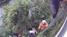 姜子寮絕壁,汐止,新北,蜂螫