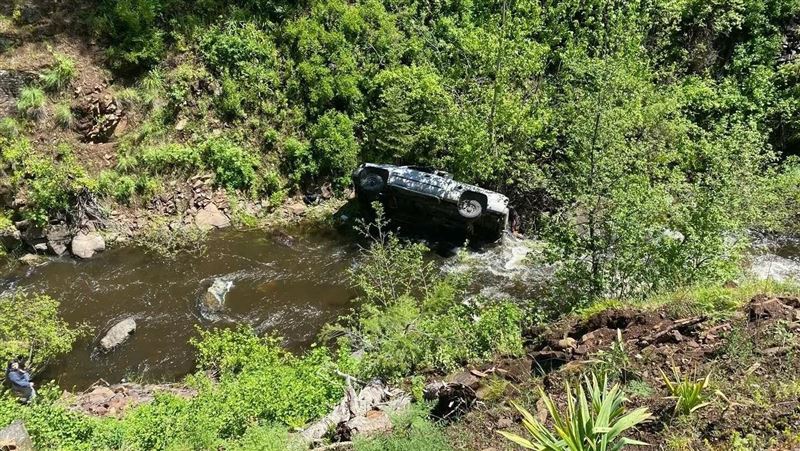 主人開車墜谷重傷！靈犬奔6公里山路求救