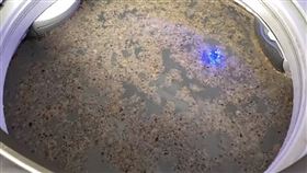 原PO表示，使用過碳酸鈉清洗洗衣槽，洗出海苔片。（圖／翻攝自我愛全聯-好物老實説）