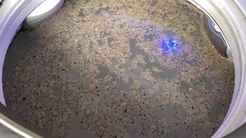 溫水加1物清洗衣槽　下秒飄滿滿海苔片
