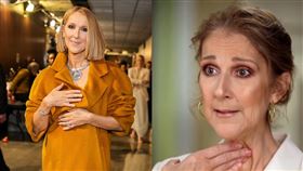 （圖／翻攝自席琳狄翁IG）