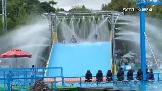 獨／童玩節7月登場　女購票驚見他人個資