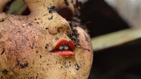 原PO連3天夢到小女孩，後來從床底發現同款洋娃娃。（示意圖／Pixabay）