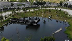 台中,噁男,景點,全裸,打手槍,抓不怕（圖／翻攝中央公園官網）