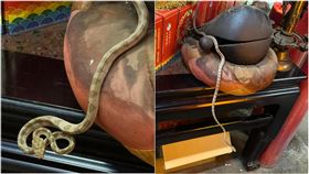 南投,天受宮,帝爺公蛇,45年,靈蛇（圖／翻攝松柏嶺天受宮北極玄天上帝臉書）