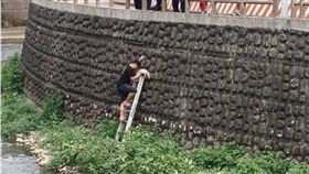 （圖／桃園電子報）