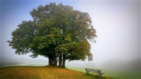 公園。（圖／翻攝自Pixabay）