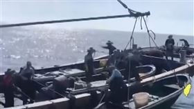 中國一名阮姓男子9日獨自駕駛快艇強行闖入淡水河，並順利從漁人碼頭登陸，事件被揭發後引起熱議。海巡調查，阮男先從中國福州搭乘子母船出海，到了台灣近海後，再獨自駕駛快艇強行闖入淡水河登陸上岸。據了解，中國籍子母船違規進入我國海域早有前例。