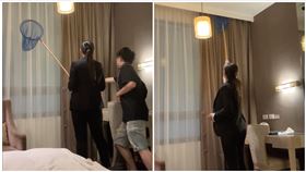 嘉義,飯店,仁義潭,蟑螂