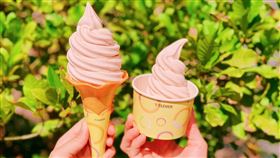7-ELEVEN攜手桃園市府桃園好農合作於6月12日起推出「水蜜桃牛奶霜淇淋」，每支售價49元。（圖／品牌業者提供）