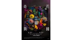 享受本草靈魂狂歡！「2024本草派對」6/22－6/23於永樂廣場開啟（業配勿用）