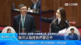 為人民服務？高金素梅政見竟跟習近平一樣