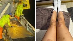 ▲30歲女子在北冰洋捕蟹，月收入高達新台幣60萬元。（圖／翻攝自微博）