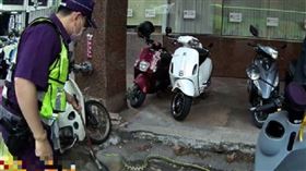 台中街頭驚見「2米巨蟒」馬路亂竄！ 民眾直擊快被嚇死。圖／ctwant／勿拿去用