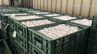 蛋價連5跌小吃價不變 攤販：水電瓦斯都漲