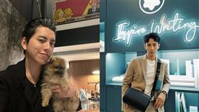 柯震東（右）跟王大陸（左）是同校同學。（組合圖／翻攝自IG）