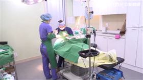 台灣人瘋赴韓醫美 南韓 韓國 醫美團 手術 整形