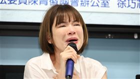 陳沂被毆立院記者會（圖／記者鄭孟晃攝影）