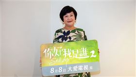 崔佩儀、林玟誼、傅小芸。（圖／大愛提供）