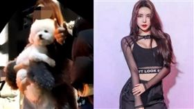 DJ Yesong在中國與香港皆具有高知名度，也曾來台灣表演。（圖／翻攝自DJ Yesong IG）