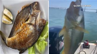 中國進口黃魚疑慮多　專家：多吃台午仔魚