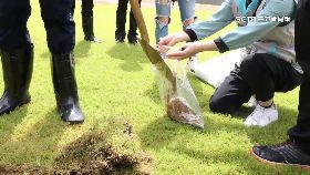 球土僅口頭18001