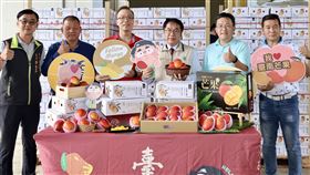 市長黃偉哲特別親臨現場視察芒果外銷新加坡的準備過程