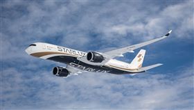 星宇航空開航香港航線。（圖／星宇航空提供）