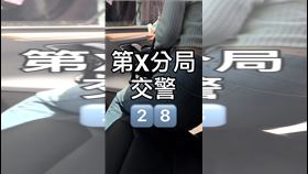 台中,女警,第五分局,下海,分局,震怒,特斯拉哥（圖／翻攝網路）