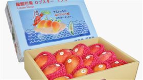 芒果不是只有愛文！長達五年試驗栽種成功　龍蝦芒果首度在台上市（業配勿用）