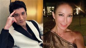 王力宏、李玟。（圖／翻攝自王力宏、李玟微博）