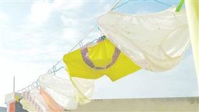 美國,內褲,換洗。(圖/翻攝自Pexels)