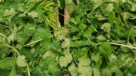 香菜(圖／翻攝自Pixabay)